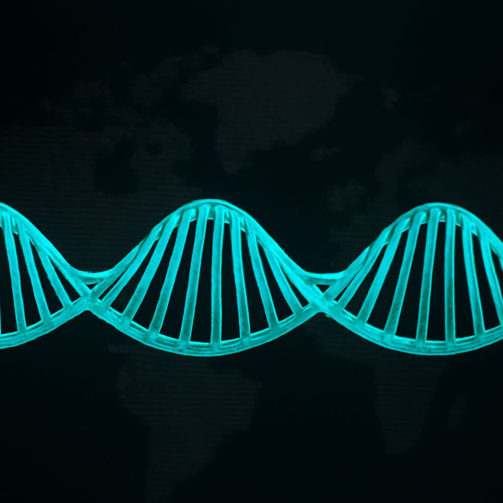 DNA and fern illustration in digital art