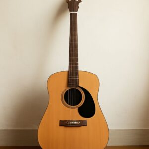 Guitar anatomy and electric guitar anatomy with headstock logos