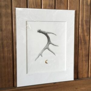 Learn antlers drawing and improve with drawing terms