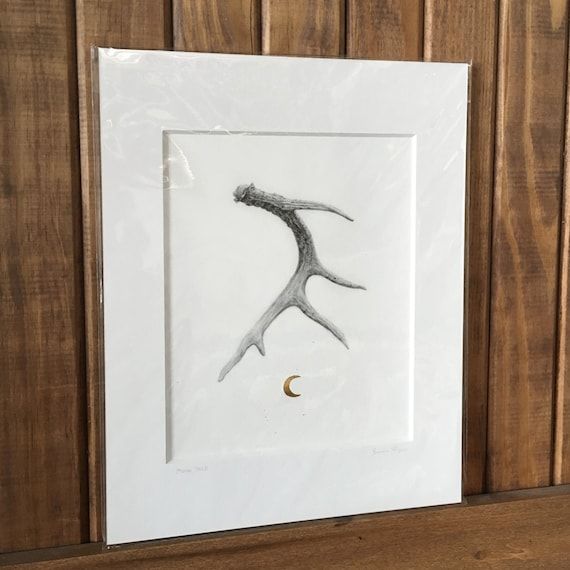Learn antlers drawing and improve with drawing terms