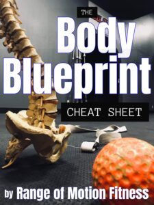 Exercise anatomy and rattlesnake anatomy comparison