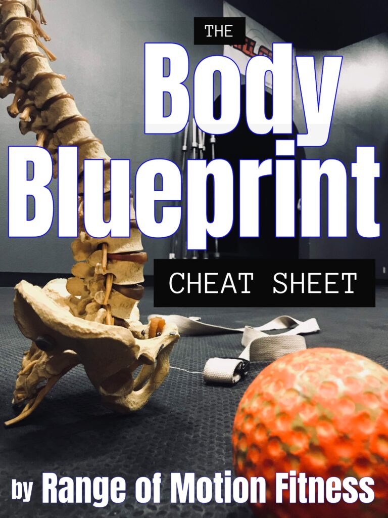 Exercise anatomy and rattlesnake anatomy comparison