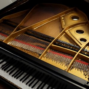 Visual comparison of piano anatomy and cheetah anatomy