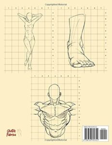 Grid drawing worksheets and anatomy labeling worksheets