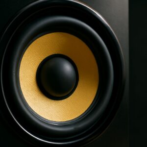 Speaker anatomy and vintage anatomy posters